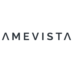 Amevista IT